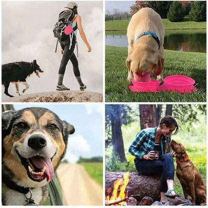 Collapsible Travel Dog Bowl Set