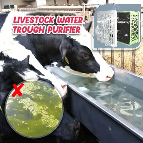 Horse Trough Water Purifier Cube