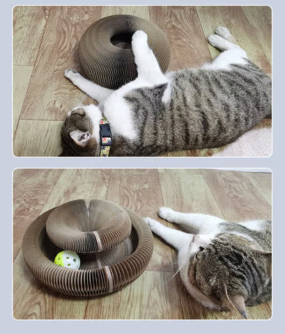 Magic Cat Scratcher — Foldable Donut Toy