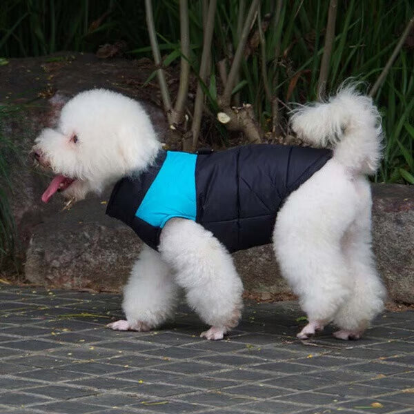 Winter Warm Waterproof Dog Vest with Zipper (S-7XL)