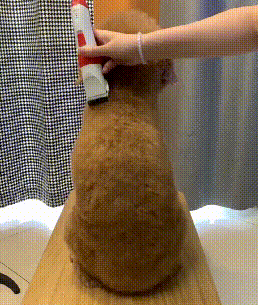 Silent Pro Cordless Pet Clipper Kit