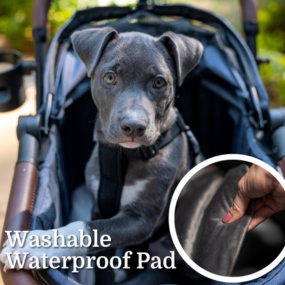 Strolee Stability Pet V2