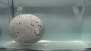Magic Hatching Dinosaur Eggs — Growing Water Toy