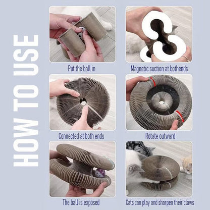 Magic Cat Scratcher — Foldable Donut Toy