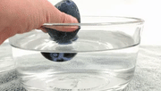 Magic Hatching Dinosaur Eggs — Growing Water Toy