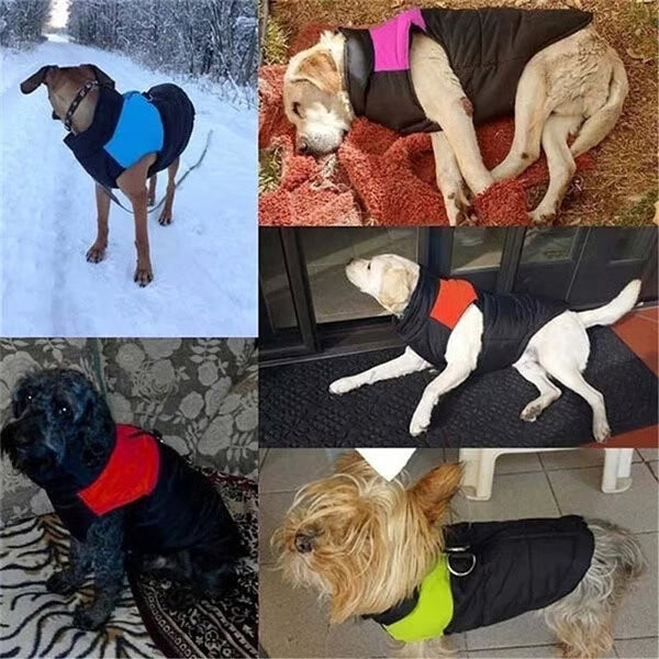 Winter Warm Waterproof Dog Vest with Zipper (S-7XL)