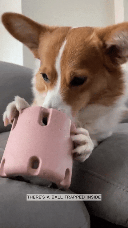 Tennis Tumble — Interactive Dog Puzzle Toy