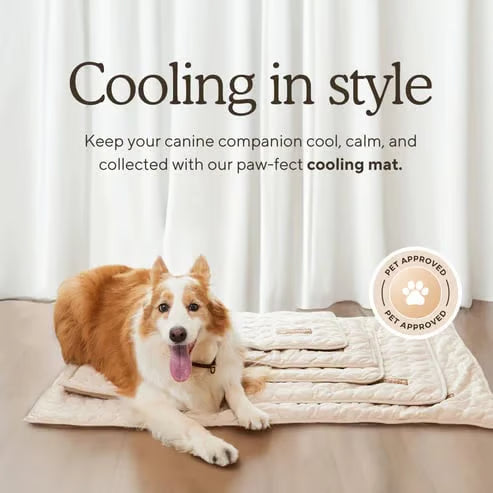 Pet Cooling Mat | 4x Enhanced Cooling Effect