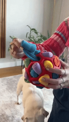 Dog Snuffle Ball — Enrichment Toy