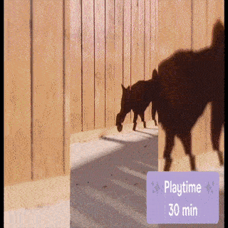 Tennis Tumble — Interactive Dog Puzzle Toy