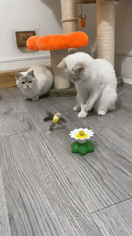 Electric Bird Cat Toy That Moves