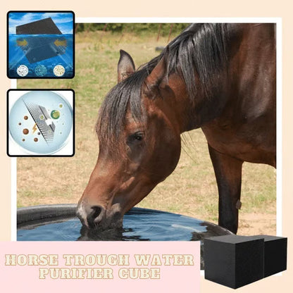 Horse Trough Water Purifier Cube
