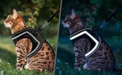 Adjustable Breathable Luminous Purrfect Feline Freedom Harness