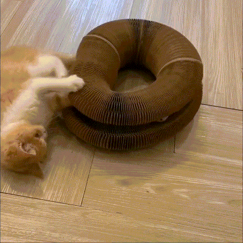 Magic Cat Scratcher — Foldable Donut Toy