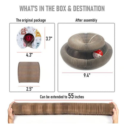 Magic Cat Scratcher — Foldable Donut Toy