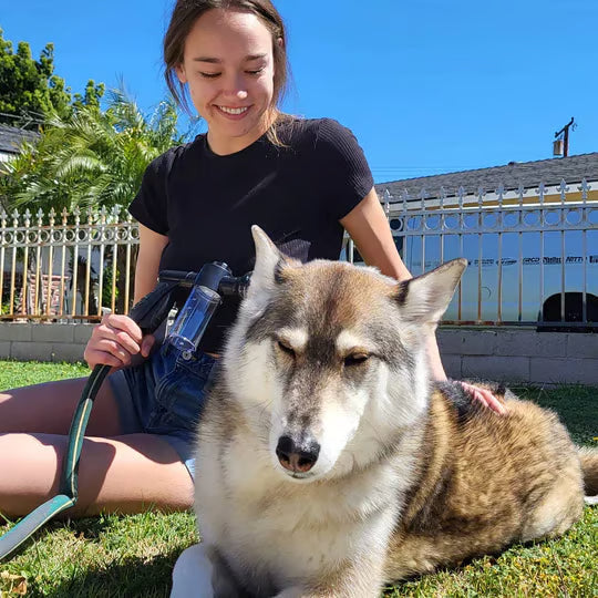 DogJet Pro Pet Bath Sprayer