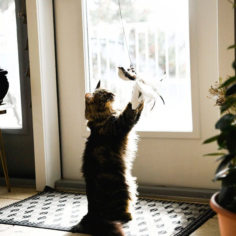 Self-Play Bird Feather Cat Toy
