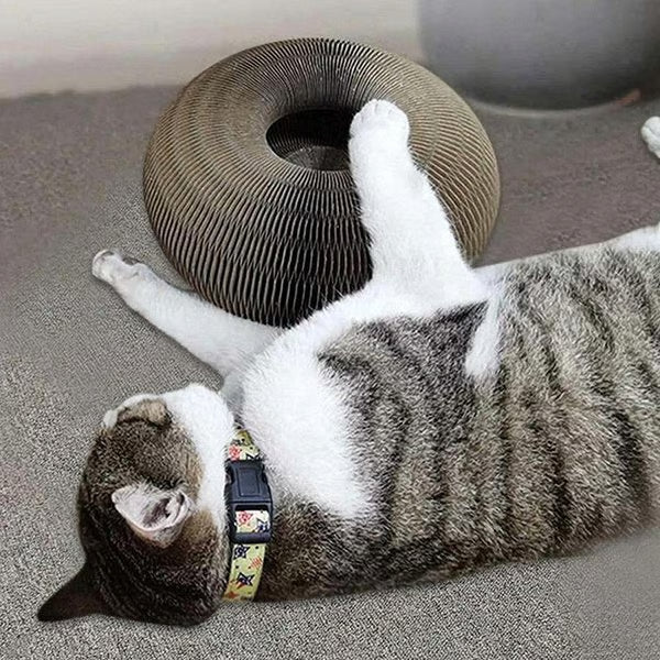 Magic Cat Scratcher — Foldable Donut Toy