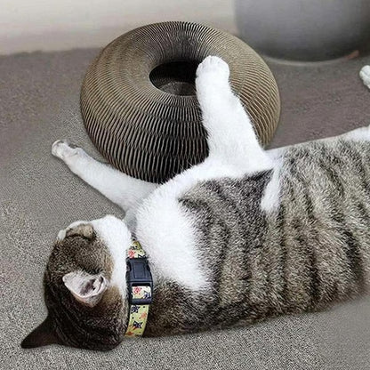 Magic Cat Scratcher — Foldable Donut Toy