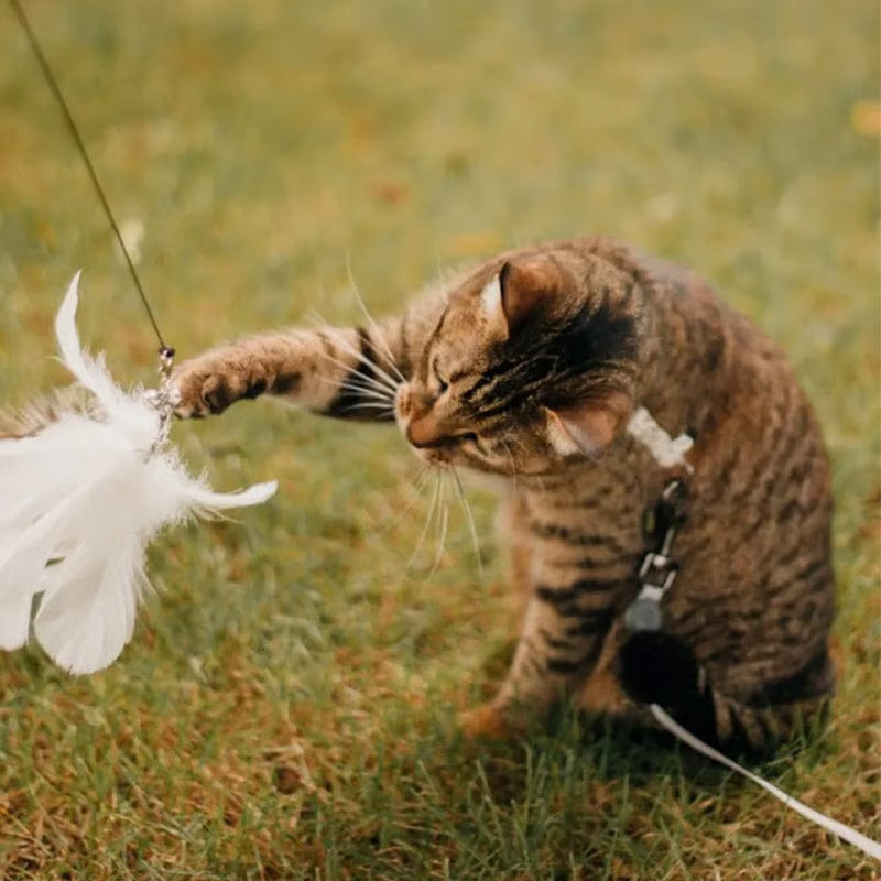 Self-Play Bird Feather Cat Toy
