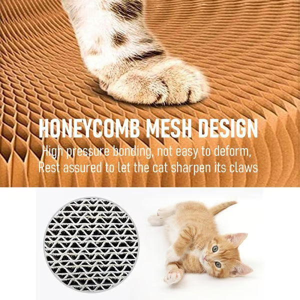 Magic Cat Scratcher — Foldable Donut Toy