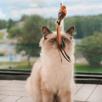 Self-Play Bird Feather Cat Toy