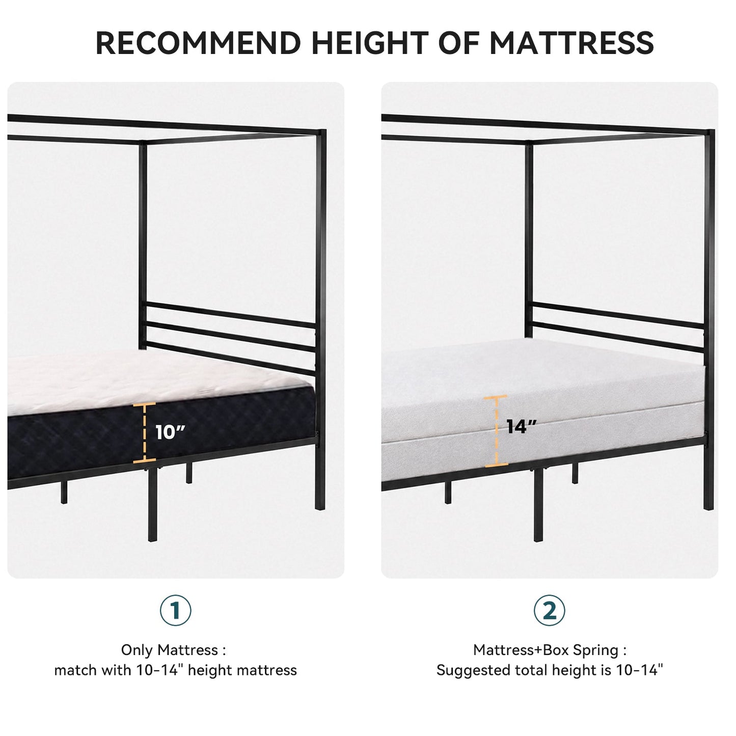 Canopy Bed Frame with Heavy-Duty Metal Slats, Four-Poster Metal Bed Frame with Under-Bed Storage, No Box Spring Needed
