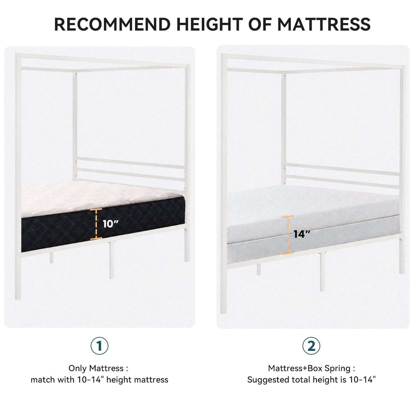 Canopy Bed Frame with Heavy-Duty Metal Slats, Four-Poster Metal Bed Frame with Under-Bed Storage, No Box Spring Needed