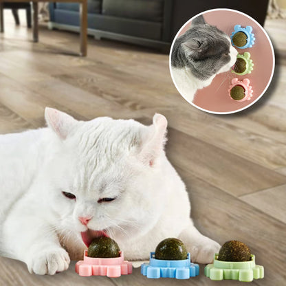 Catnip Wall Ball for Cats