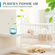 Passive Air Purifier Dust Removal Box