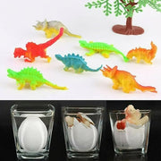 Magic Hatching Dinosaur Eggs — Growing Water Toy