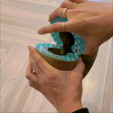 Magic Cat Scratcher — Foldable Donut Toy
