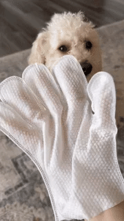 Deodorizing Pet Glove Wipes for Dogs & Cats (6 Pcs)