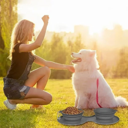 Collapsible Travel Dog Bowl Set
