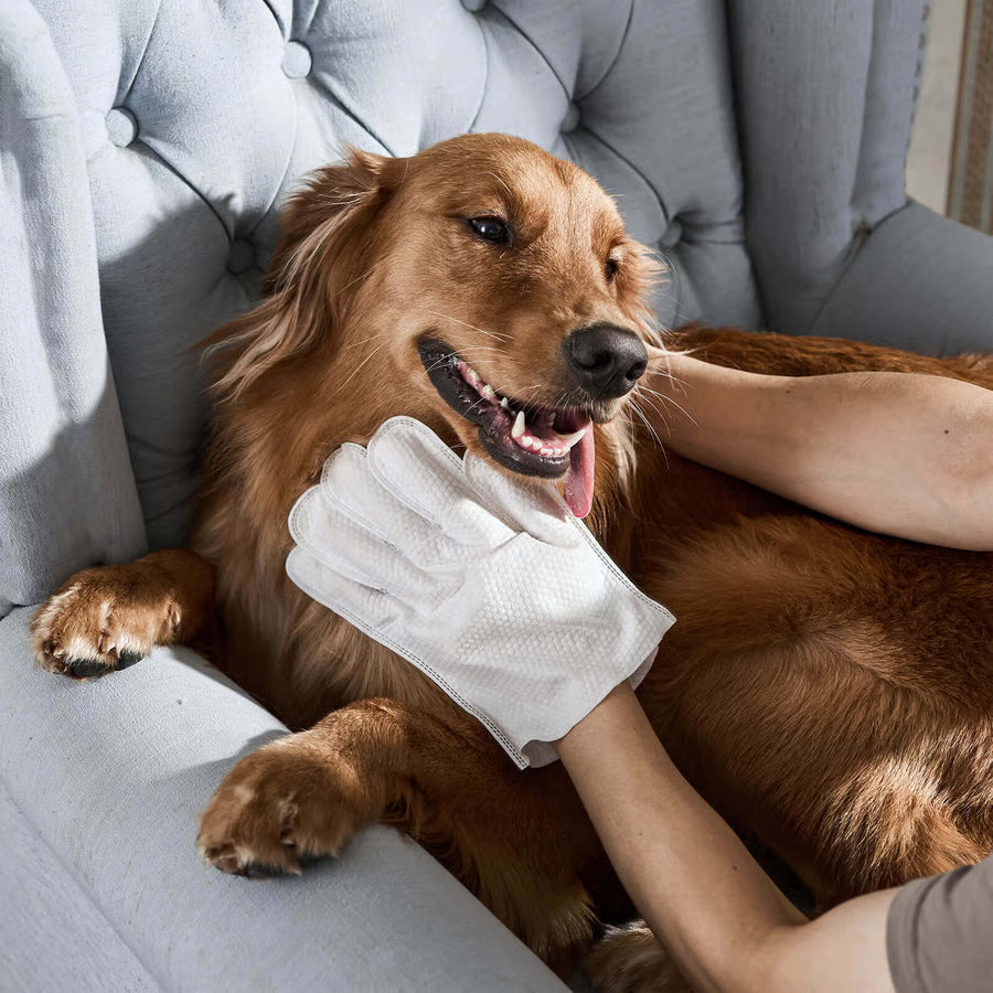 Deodorizing Pet Glove Wipes for Dogs & Cats (6 Pcs)