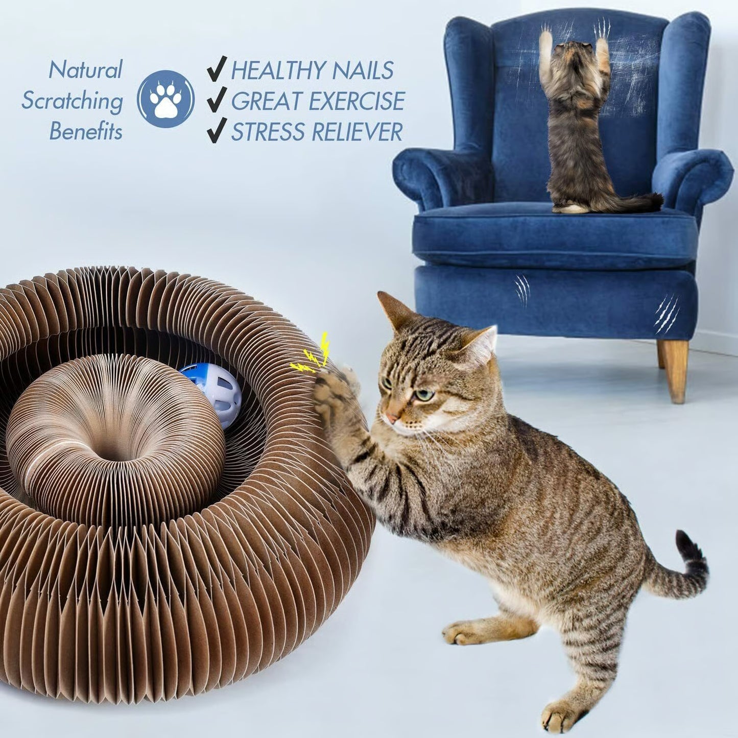 Magic Cat Scratcher — Foldable Donut Toy