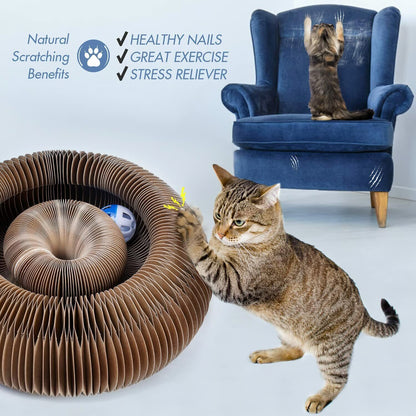 Magic Cat Scratcher — Foldable Donut Toy