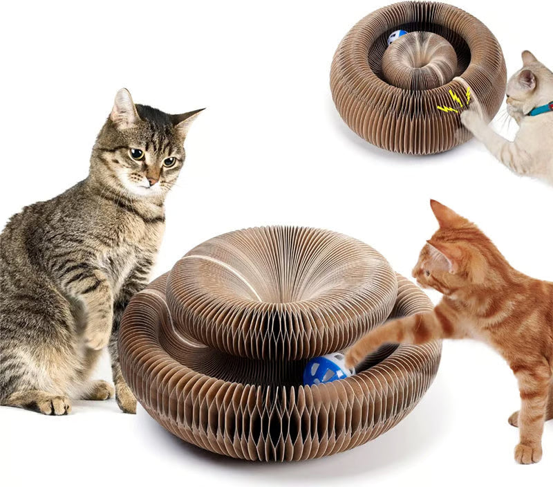 Magic Cat Scratcher — Foldable Donut Toy