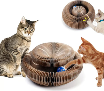 Magic Cat Scratcher — Foldable Donut Toy
