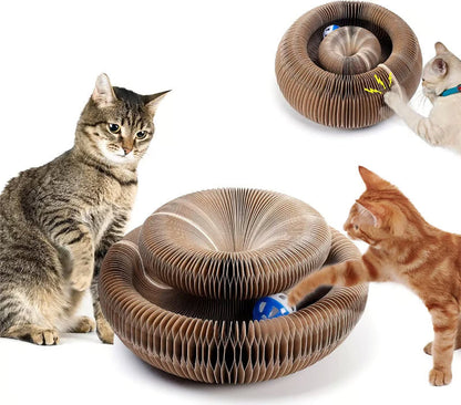 Magic Cat Scratcher — Foldable Donut Toy