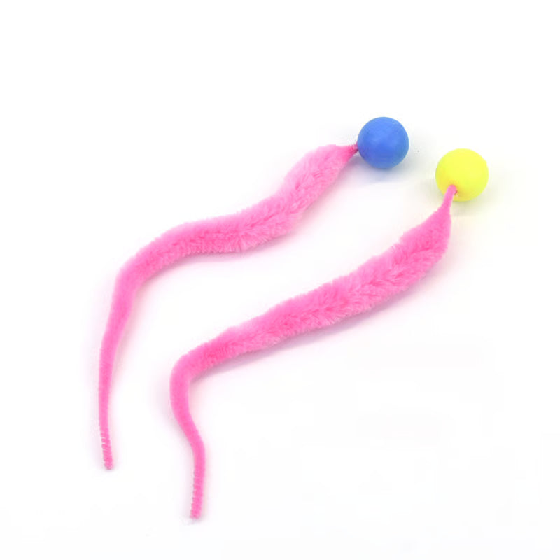 Typared Jiggle Ball for Cat
