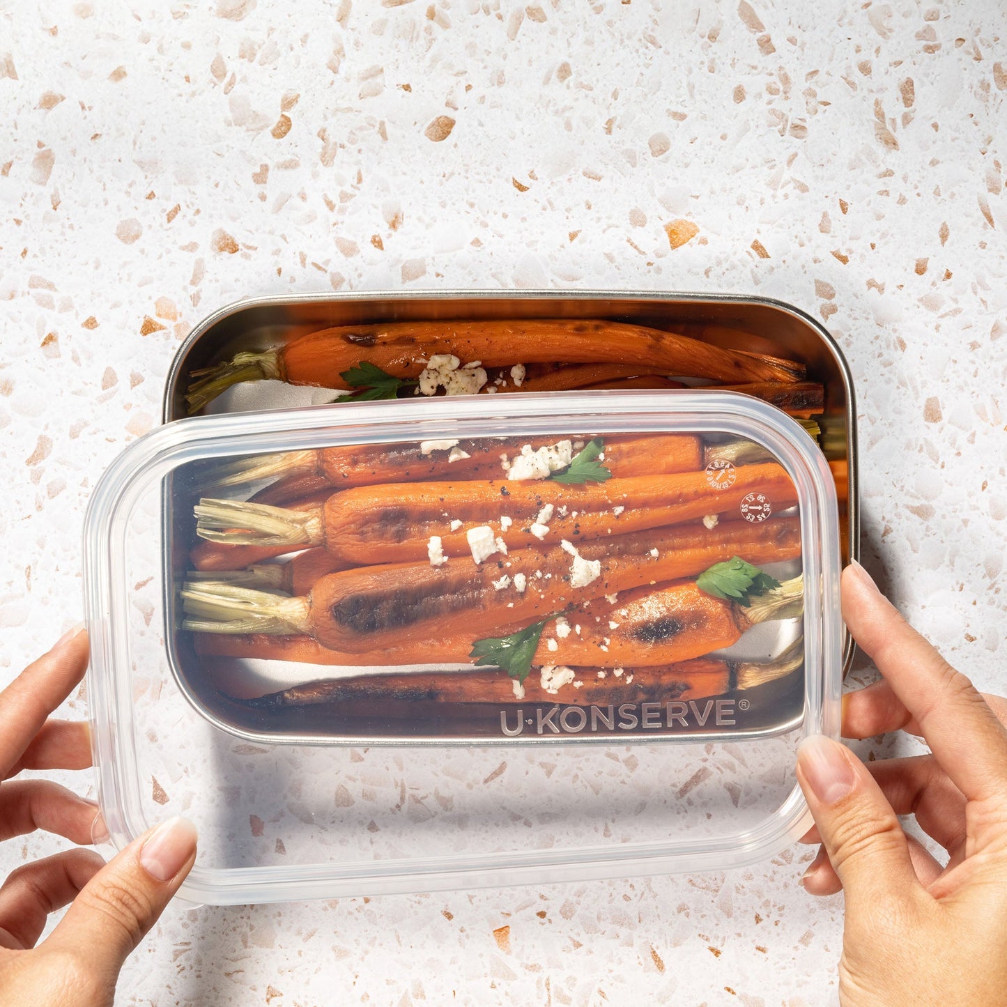 Everyday Rectangle Bundle