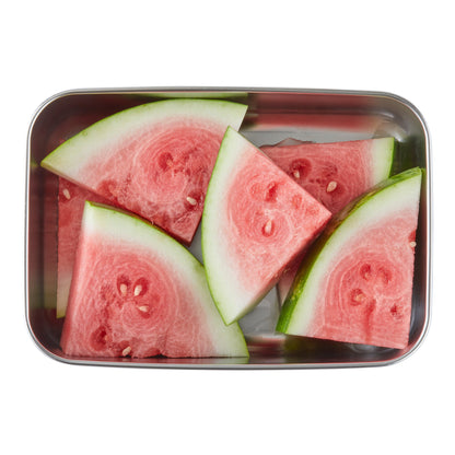 Family-Sized Rectangle Bundle Stainless Steel Food Storage Containers