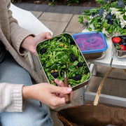 Rectangle Food-Storage Container - Island Teal