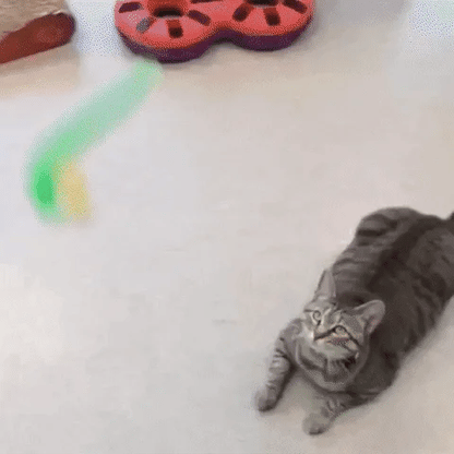 Typared Jiggle Ball for Cat