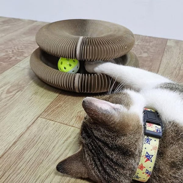 Magic Cat Scratcher — Foldable Donut Toy