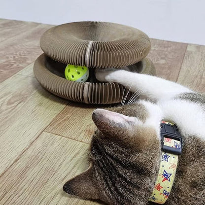 Magic Cat Scratcher — Foldable Donut Toy