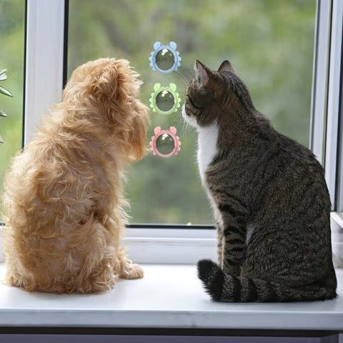 Catnip Wall Ball for Cats