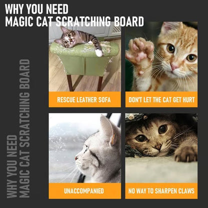 Magic Cat Scratcher — Foldable Donut Toy