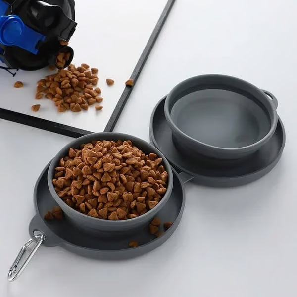 Collapsible Travel Dog Bowl Set